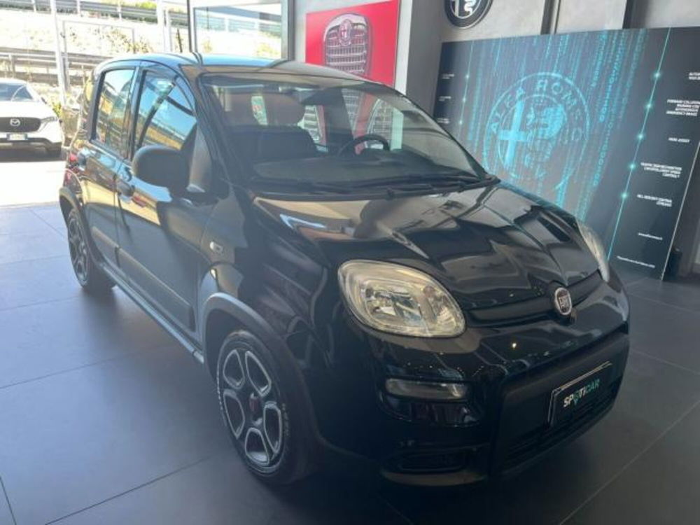 Fiat Panda usata a Salerno (2)