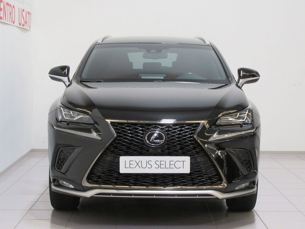 Lexus NX usata a Firenze (4)