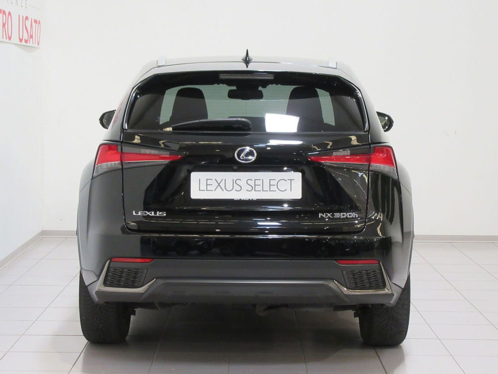 Lexus NX usata a Firenze (5)