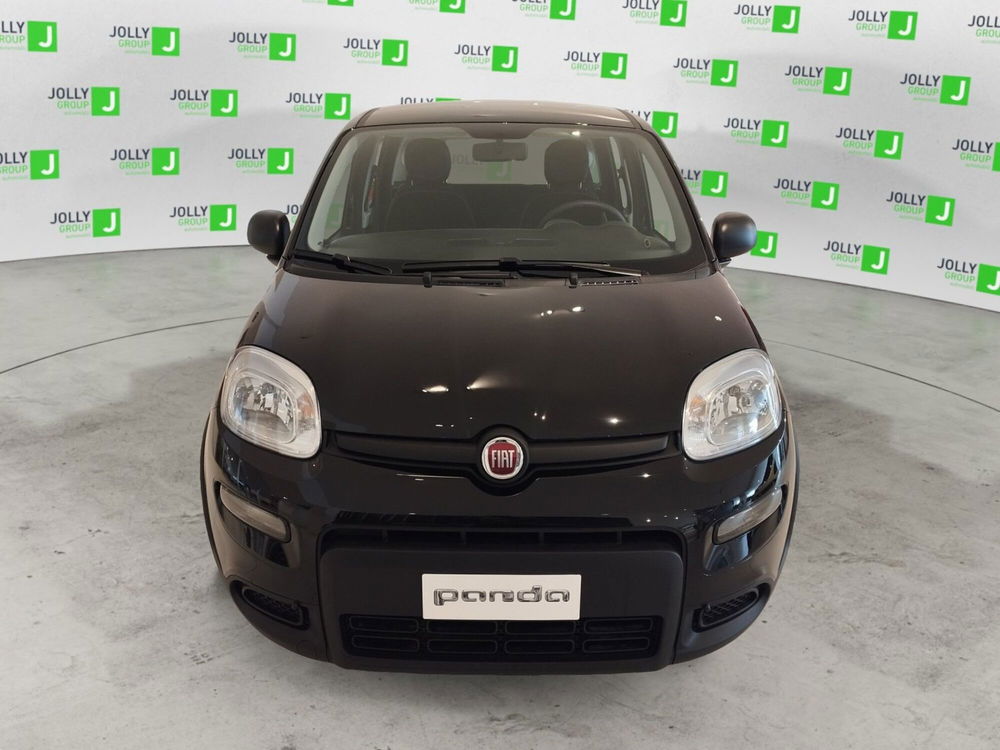 Fiat Panda Cross nuova a Frosinone