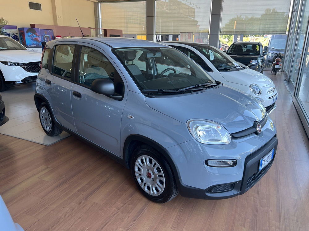 Fiat Panda Cross usata a Lucca