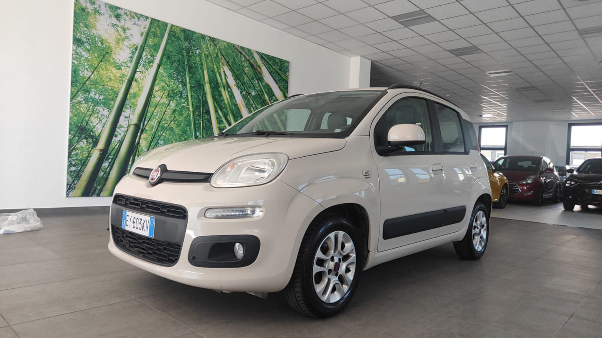 Fiat Panda 1.2 Lounge  del 2015 usata a Empoli