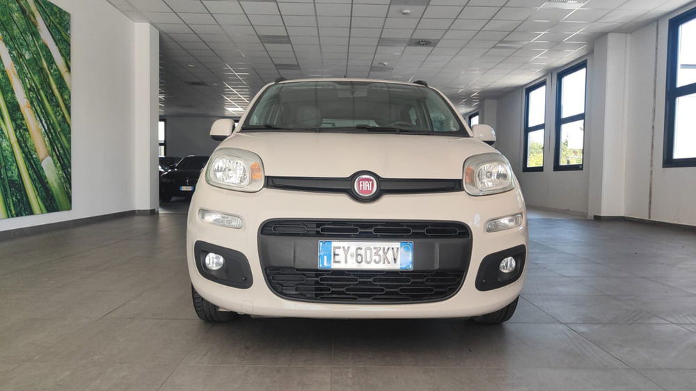 Fiat Panda usata a Firenze (14)