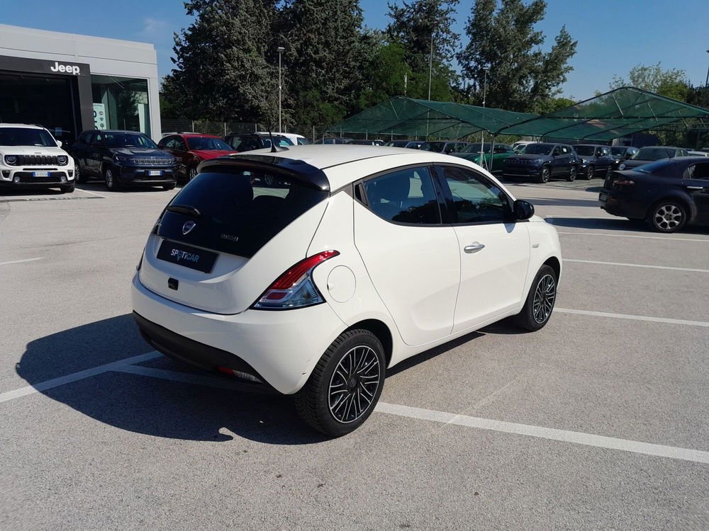 Lancia Ypsilon usata a Ancona (5)