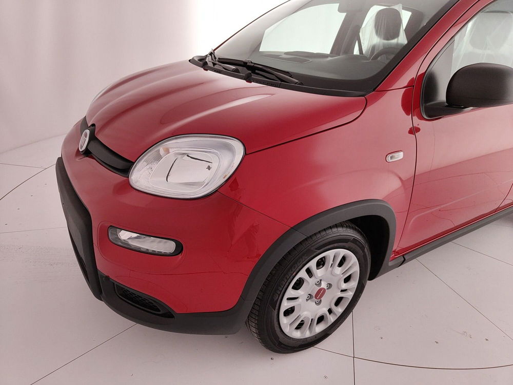 Fiat Panda Cross nuova a Caserta (11)