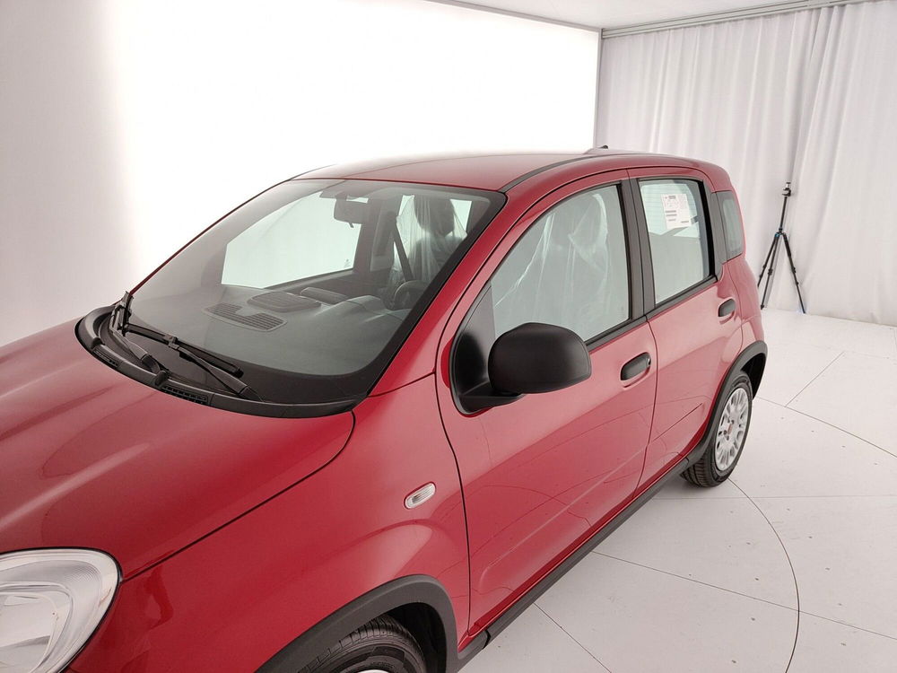 Fiat Panda Cross nuova a Caserta (12)