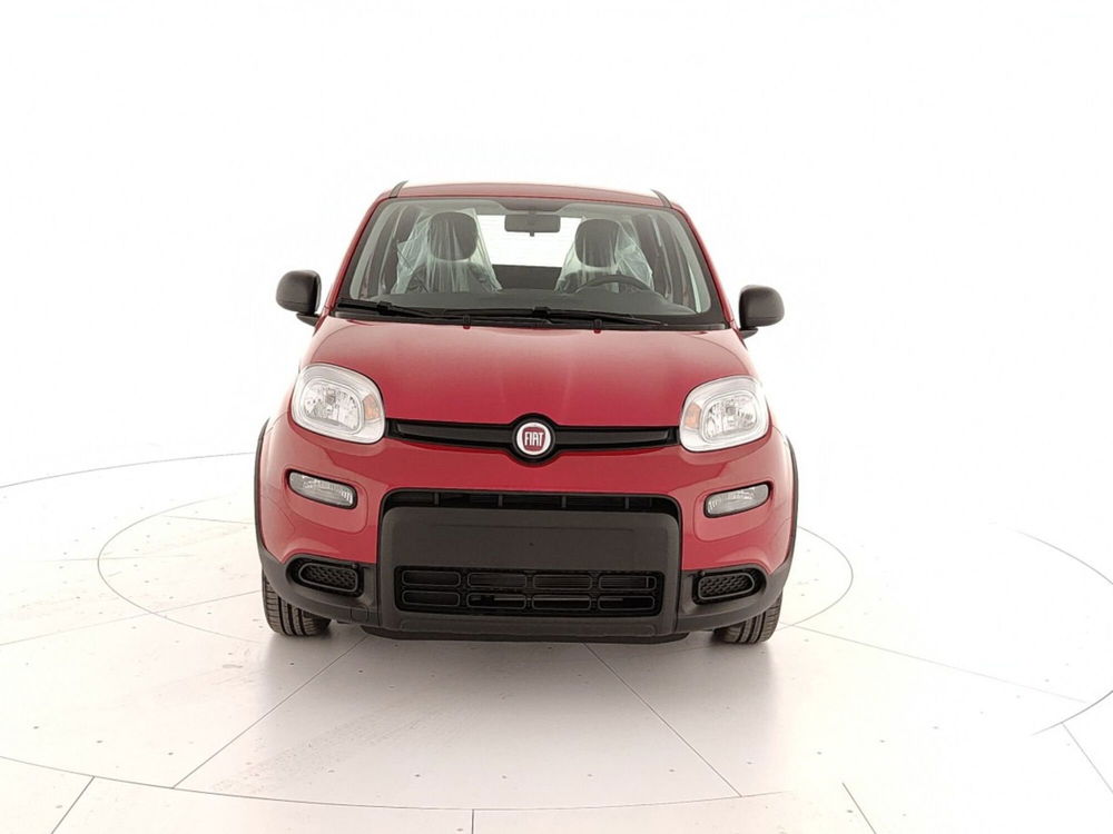 Fiat Panda Cross nuova a Caserta (2)