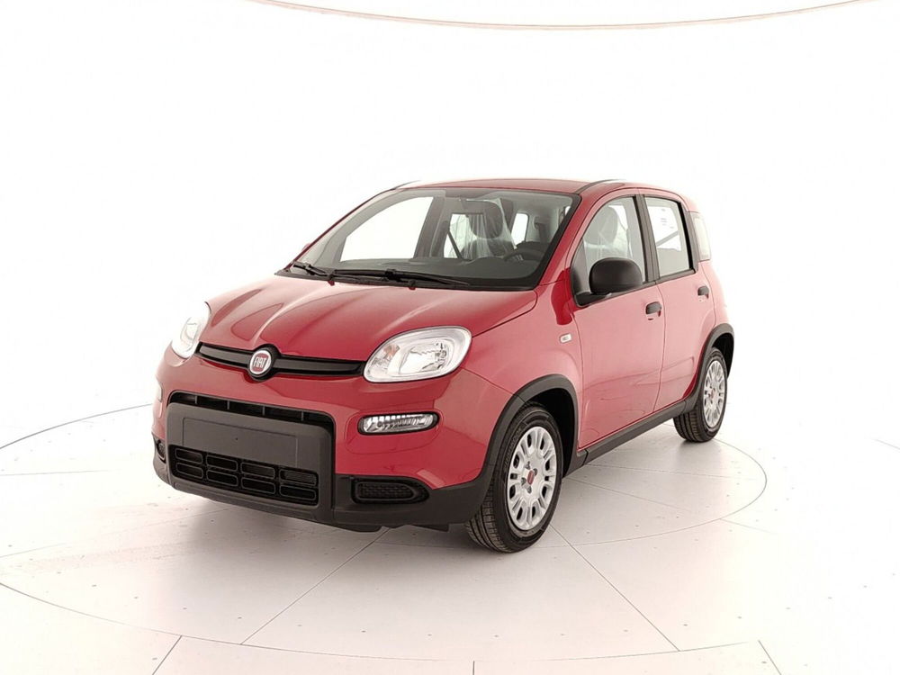 Fiat Panda Cross nuova a Caserta (3)