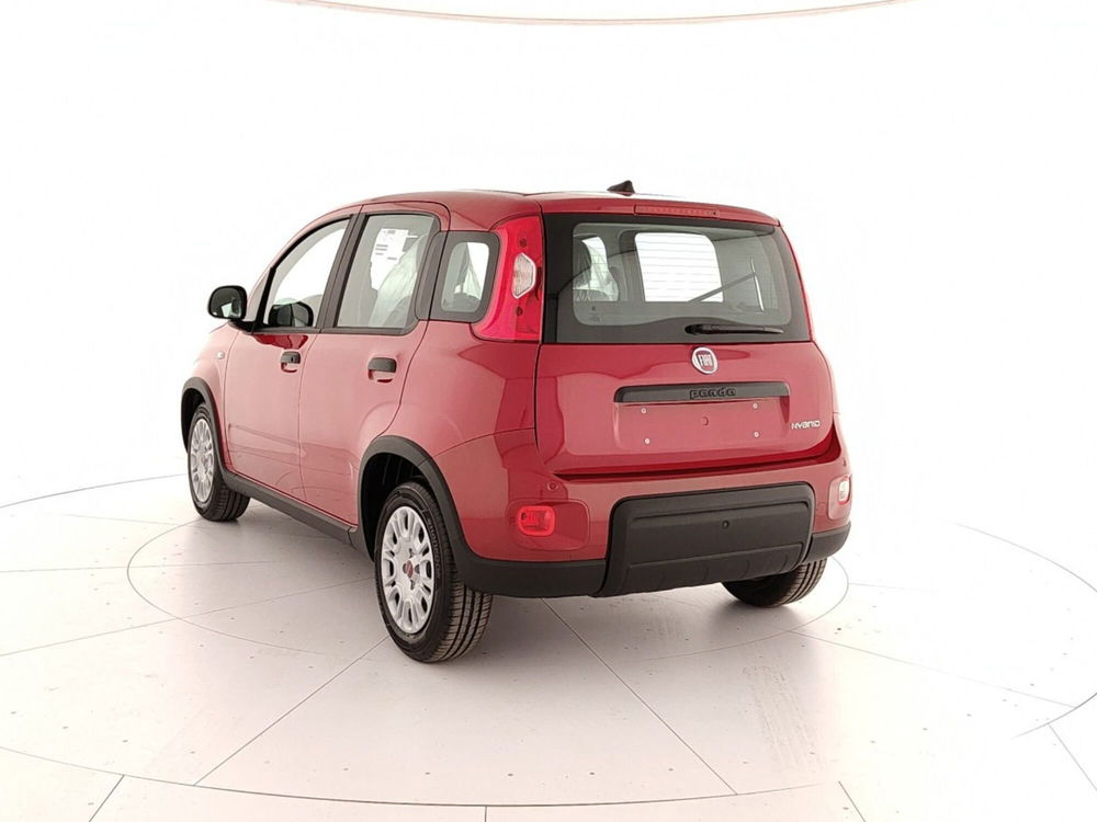 Fiat Panda Cross nuova a Caserta (4)