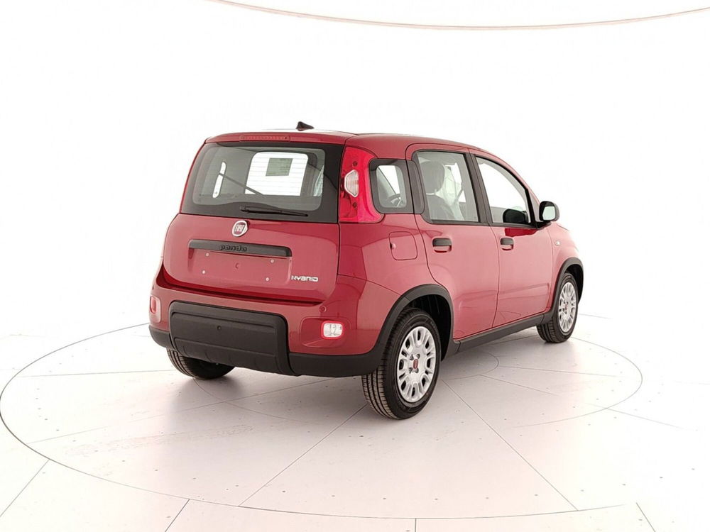 Fiat Panda Cross nuova a Caserta (6)