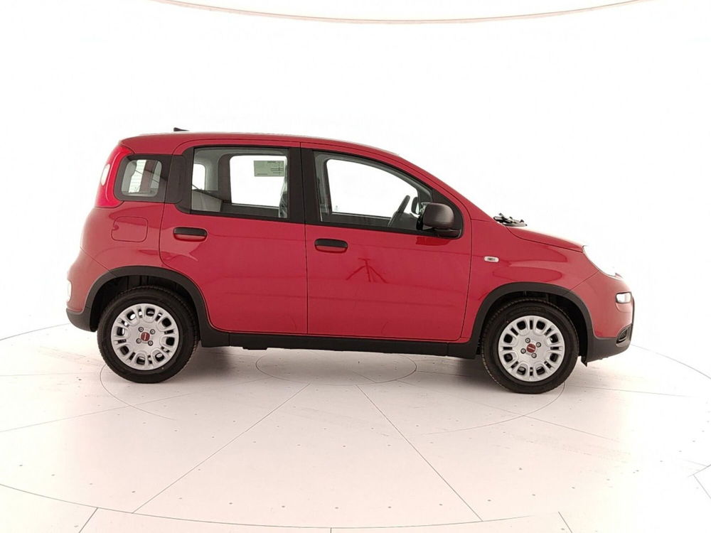 Fiat Panda Cross nuova a Caserta (7)