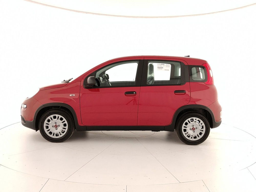 Fiat Panda Cross nuova a Caserta (8)