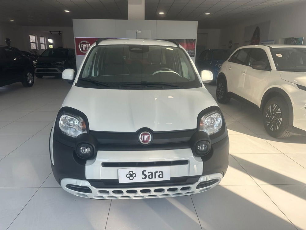 Fiat Panda Cross nuova a Benevento