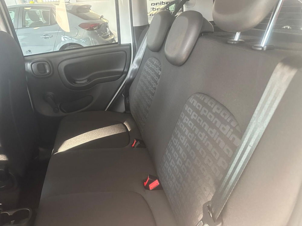 Fiat Panda Cross nuova a Benevento (18)