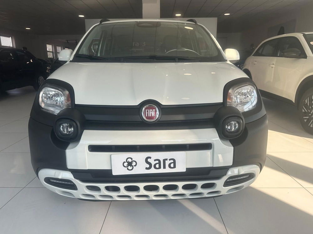 Fiat Panda Cross nuova a Benevento (8)