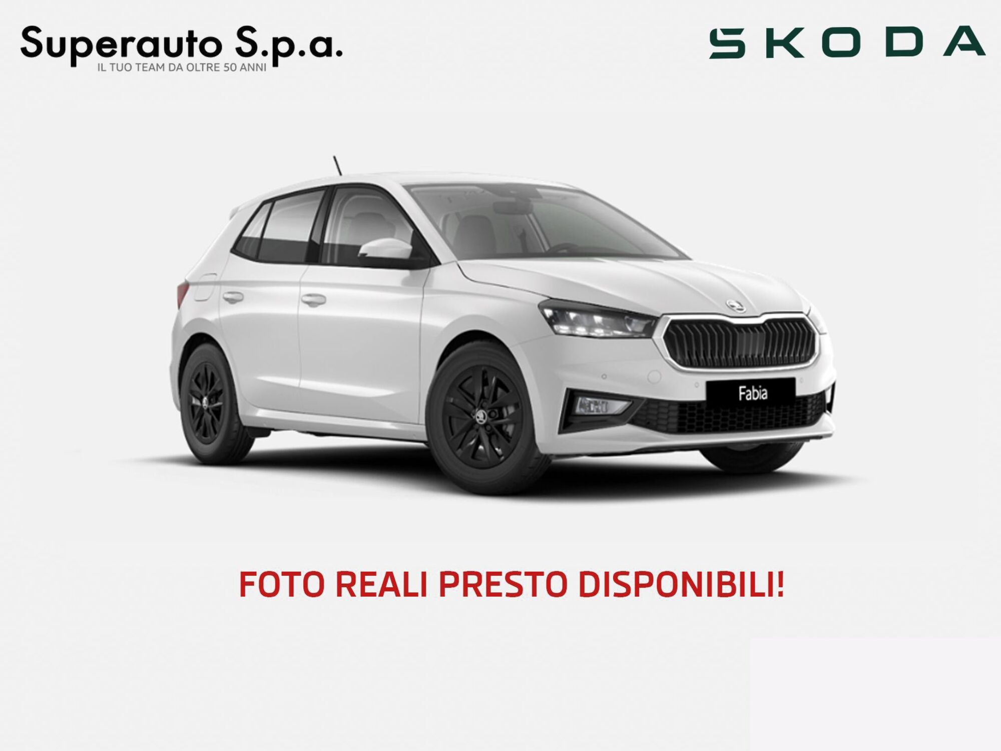 Skoda Fabia 1.0 mpi evo Young Edition 80cv nuova a Padova