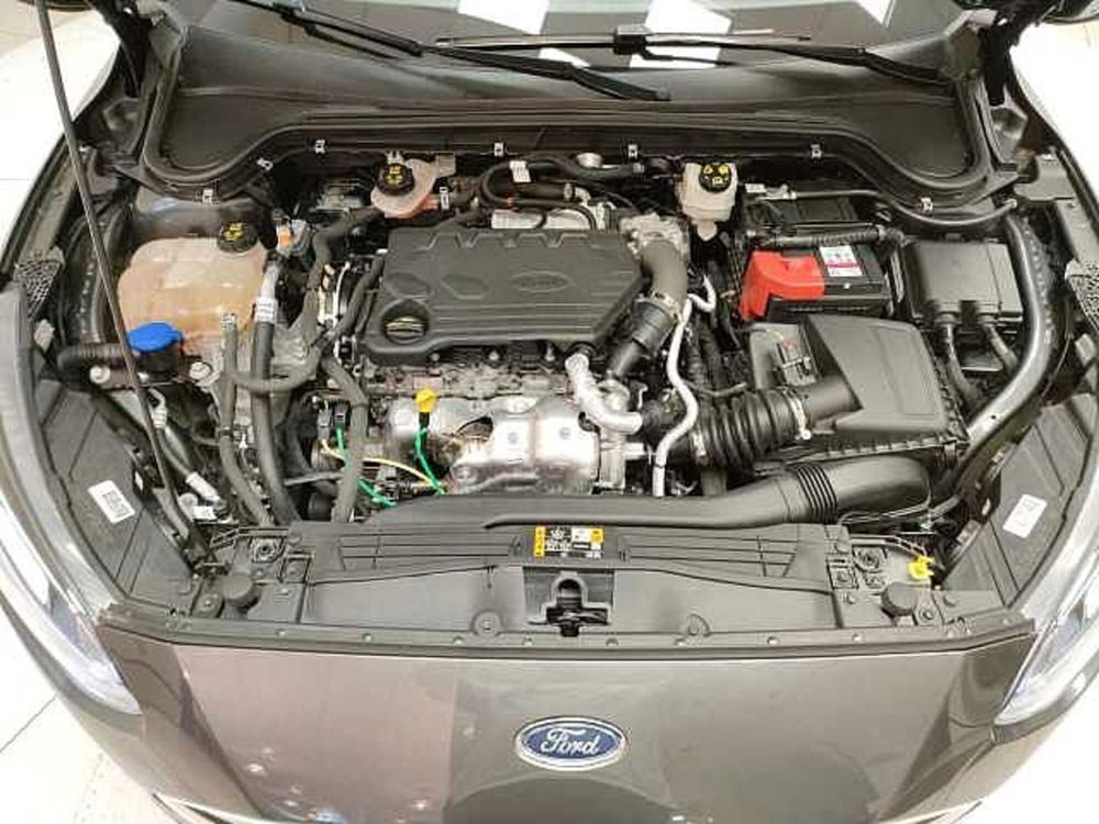 Ford Focus usata a Teramo (10)