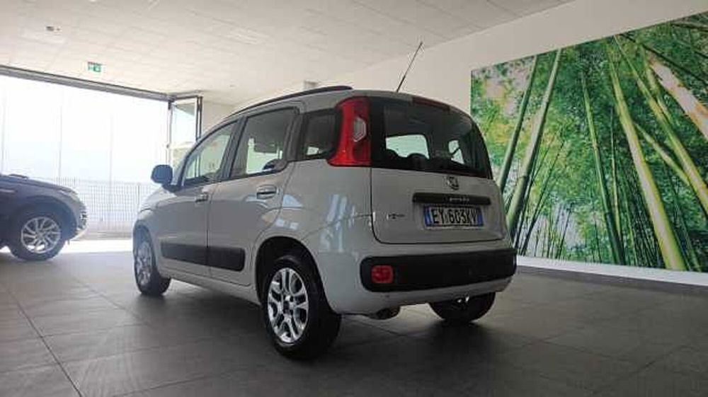 Fiat Panda usata a Firenze (6)