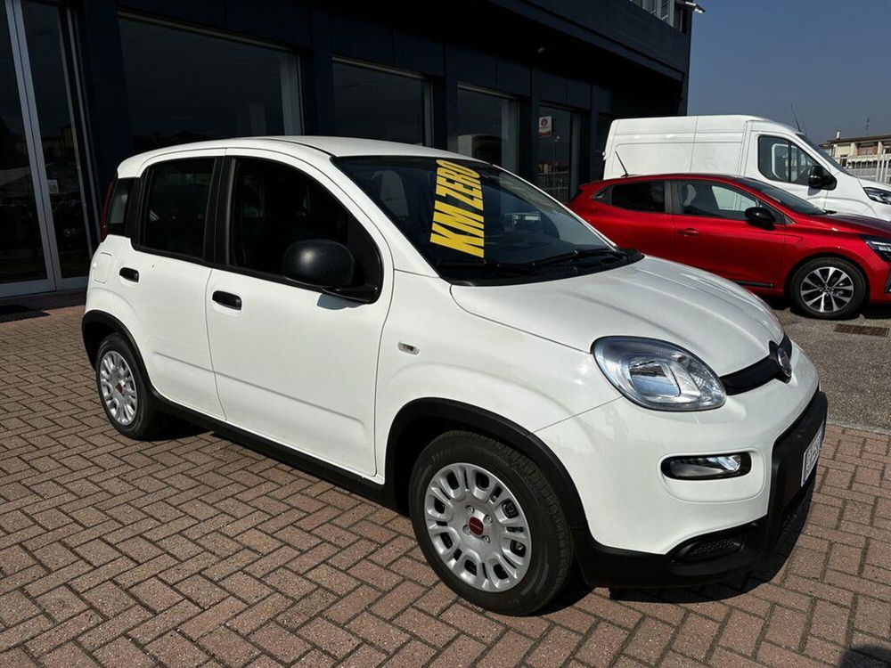 Fiat Panda Cross nuova a Torino (2)