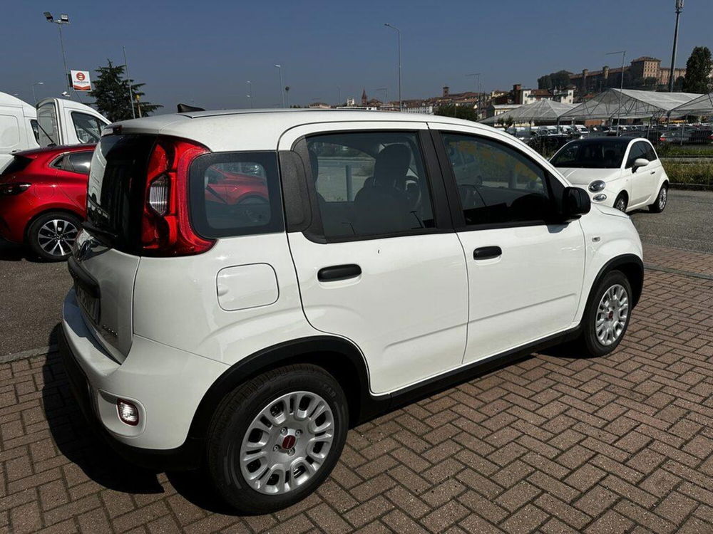 Fiat Panda Cross nuova a Torino (3)