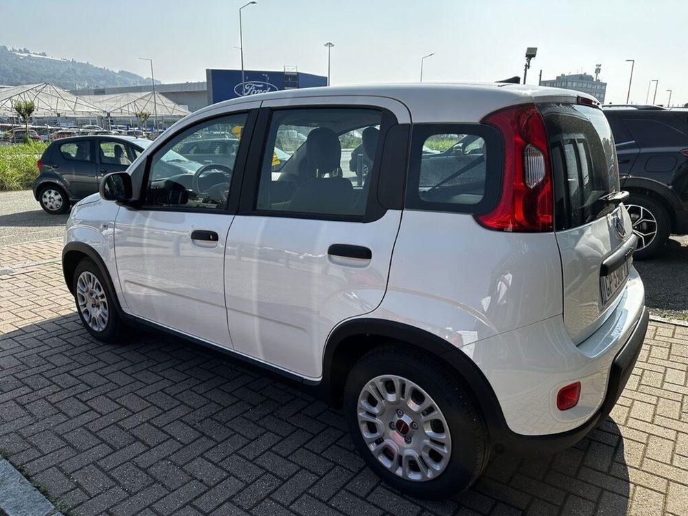 Fiat Panda Cross nuova a Torino (4)