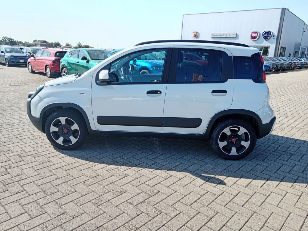 Fiat Panda Cross usata a Alessandria (8)