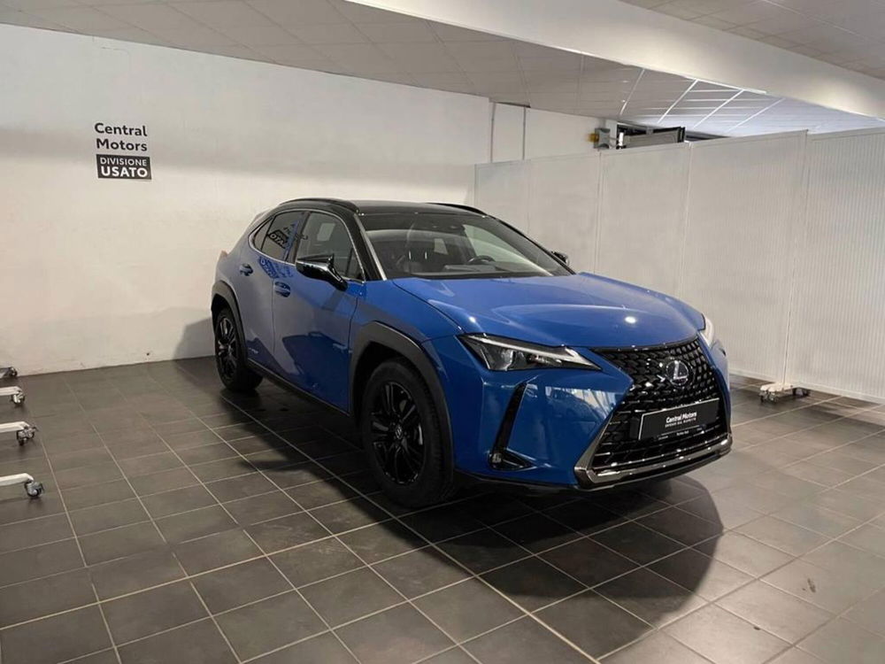 Lexus UX usata a Torino (2)