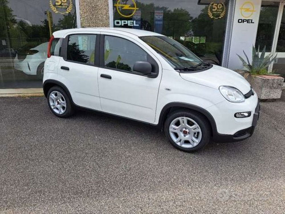 Fiat Panda Cross nuova a Varese