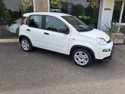 Fiat Panda Cross Cross 1.0 FireFly S&amp;S Hybrid  nuova a Tradate