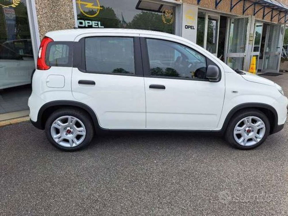 Fiat Panda Cross nuova a Varese (2)