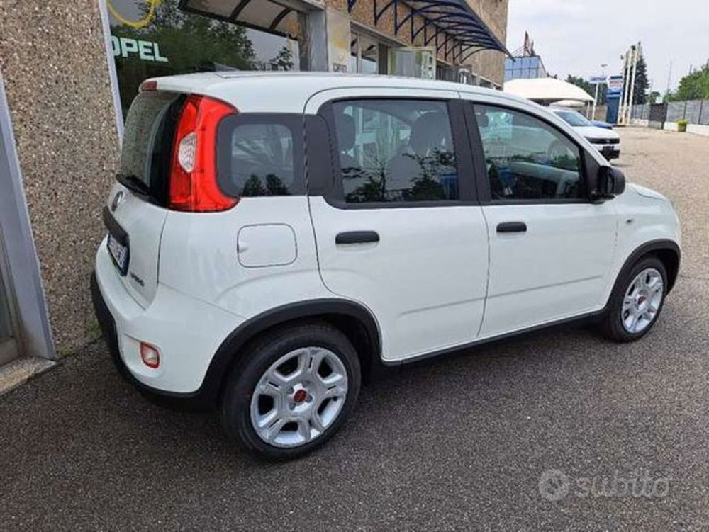 Fiat Panda Cross nuova a Varese (3)