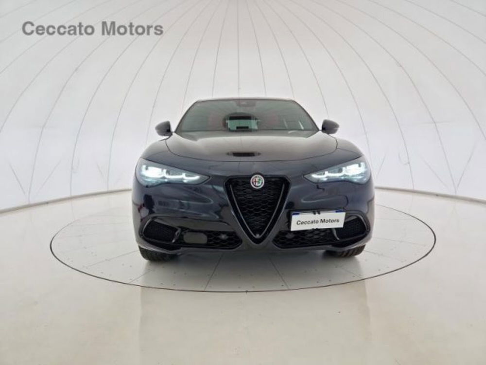 Alfa Romeo Stelvio usata a Padova (2)