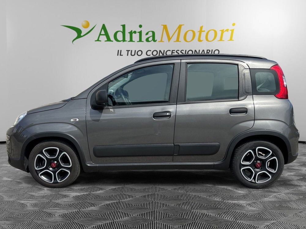 Fiat Panda usata a Pordenone (2)