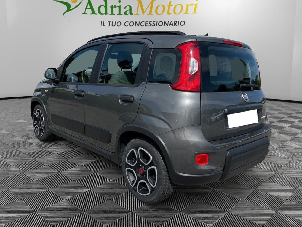 Fiat Panda usata a Pordenone (3)