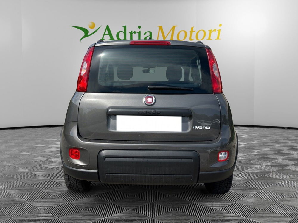 Fiat Panda usata a Pordenone (4)