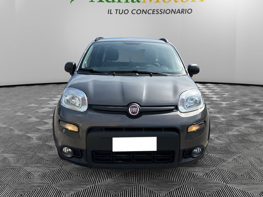 Fiat Panda usata a Pordenone (8)