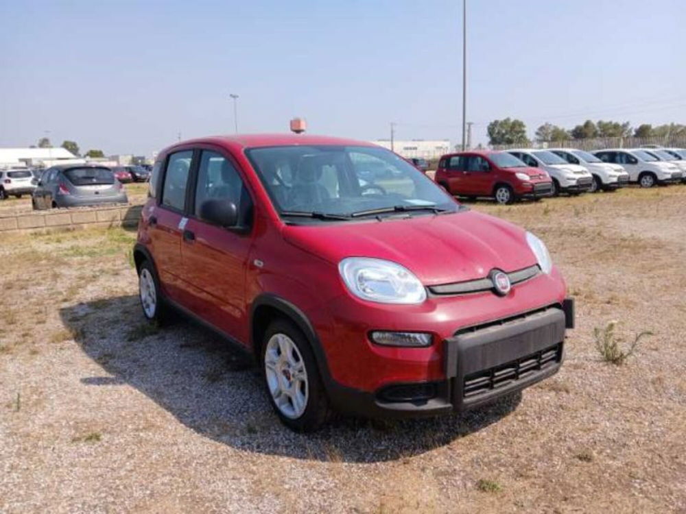 Fiat Panda nuova a Lecce (3)