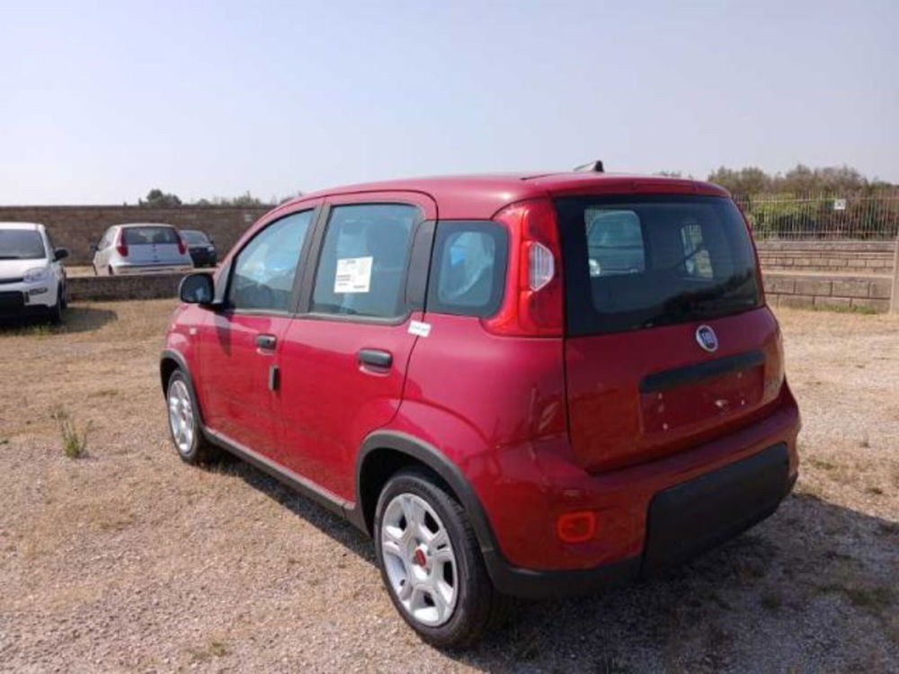 Fiat Panda nuova a Lecce (6)