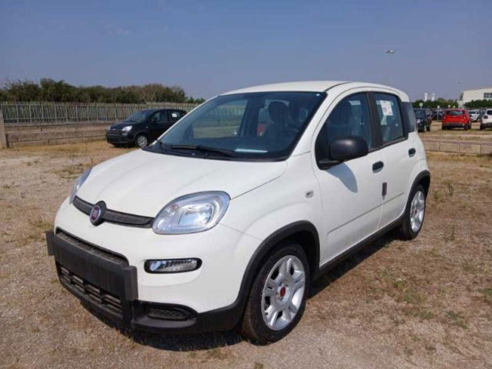 Fiat Panda nuova a Lecce (2)