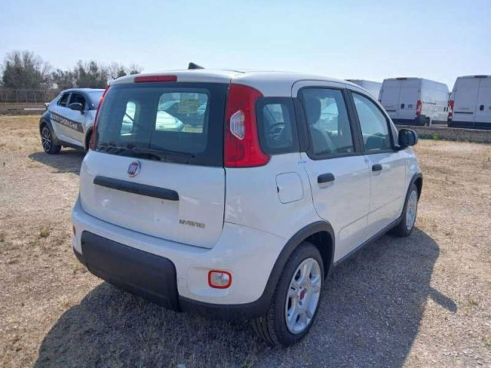 Fiat Panda nuova a Lecce (4)