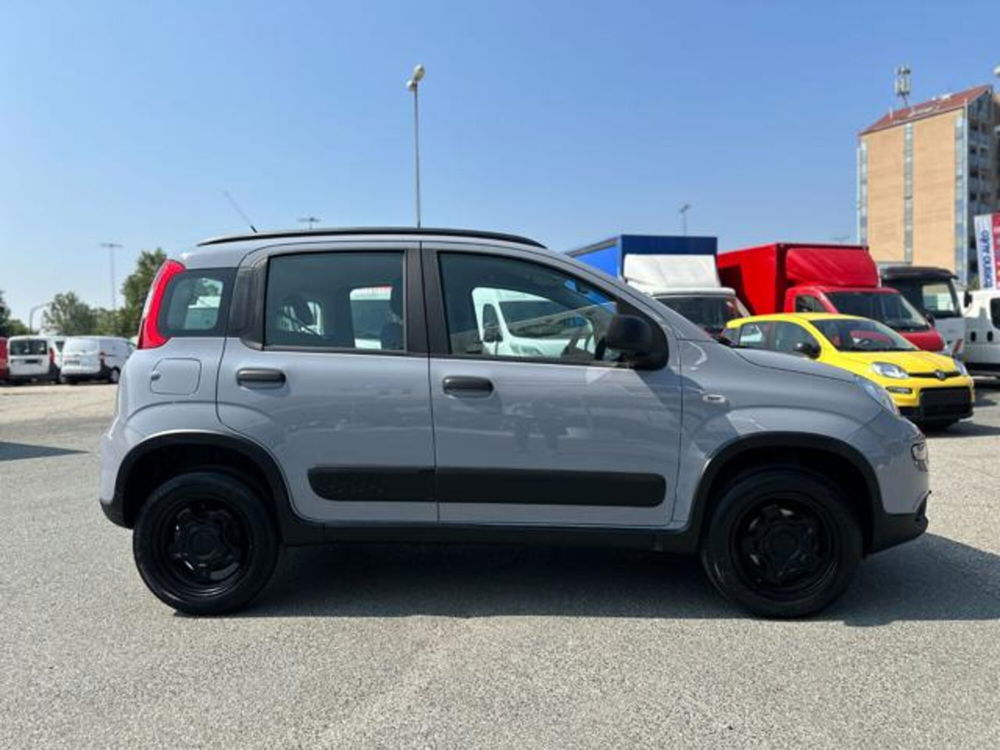 Fiat Panda usata a Torino (8)