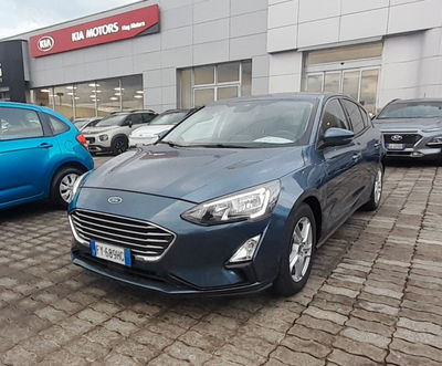 Ford Focus 1.5 EcoBlue 120 CV 5p. Business  del 2019 usata a Rende