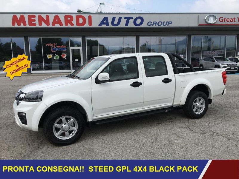 Great Wall Steed Pick-up Steed Passo Lungo DC 2.4 Work Gpl 4wd nuova a Bernezzo