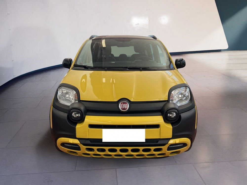 Fiat Panda Cross usata a Torino