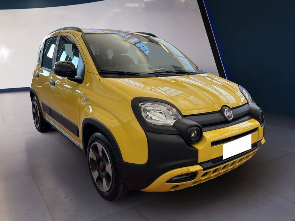 Fiat Panda Cross usata a Torino (2)