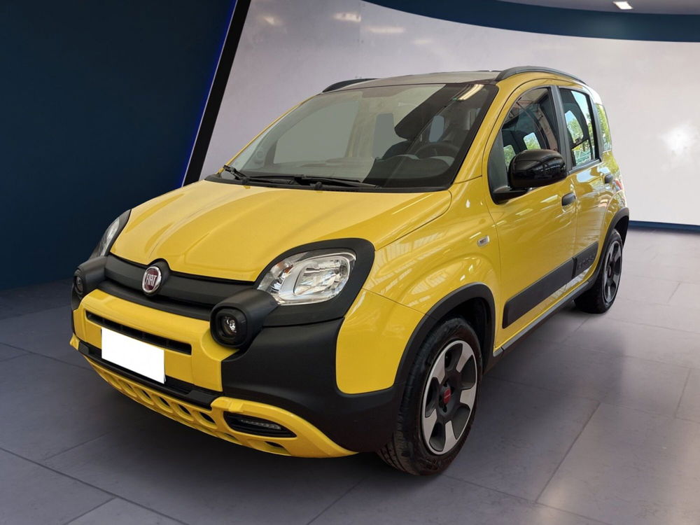 Fiat Panda Cross usata a Torino (3)