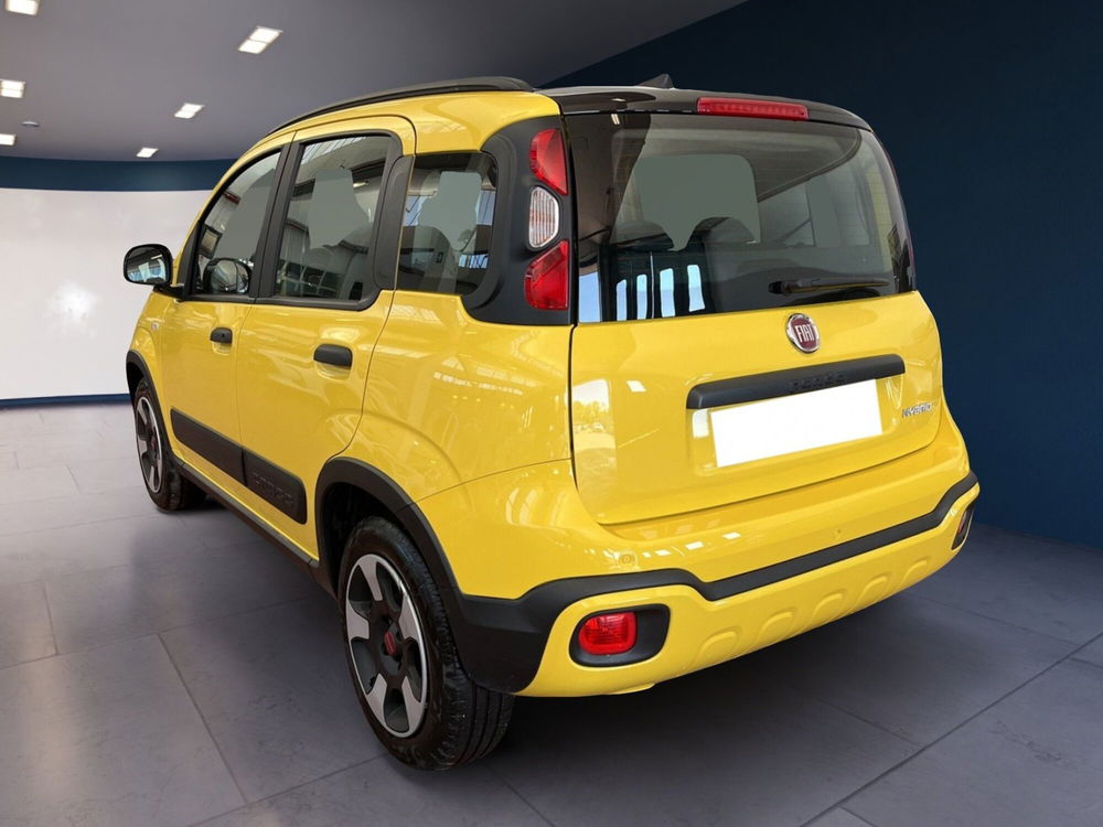 Fiat Panda Cross usata a Torino (4)