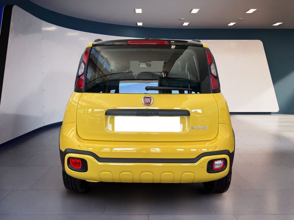 Fiat Panda Cross usata a Torino (5)