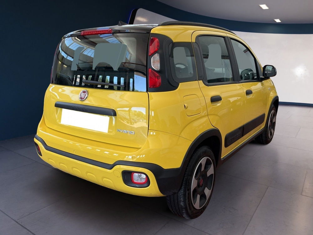 Fiat Panda Cross usata a Torino (6)