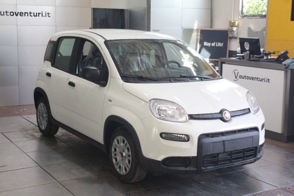 Fiat Panda nuova a Viterbo